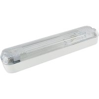 Вандалоустойчивый светильник TDM ELECTRIC ЛПБ 31-11-006