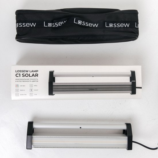 Светильник светодиодный для общего света и покрасочных работ Lossew С1 Solar 5550К 30 Вт 220 В IP44 (lossewC1РS)