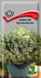 Семена цветов Поиск алиссум Хрустальный звон 20 шт.