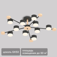 Люстра потолочная Лоре SF5511/10C-BK-WD 10 ламп 24 м² цвет черный