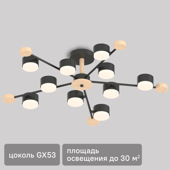 Люстра потолочная Лоре SF5511/10C-BK-WD 10 ламп 24 м² цвет черный