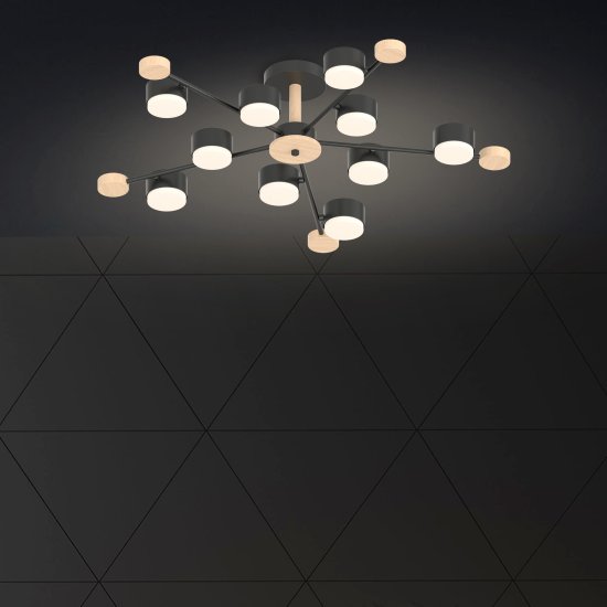 Люстра потолочная Лоре SF5511/10C-BK-WD 10 ламп 24 м² цвет черный