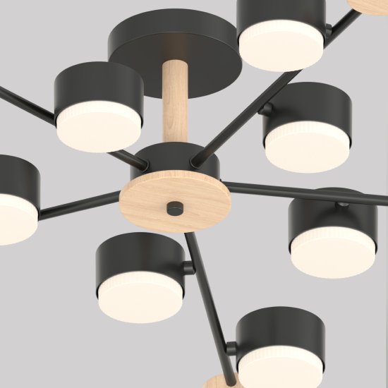 Люстра потолочная Лоре SF5511/10C-BK-WD 10 ламп 24 м² цвет черный