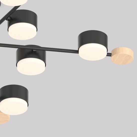 Люстра потолочная Лоре SF5511/10C-BK-WD 10 ламп 24 м² цвет черный