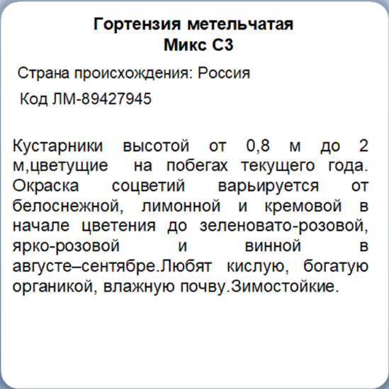 Гортензия метельчатая микс ø20 h30 см