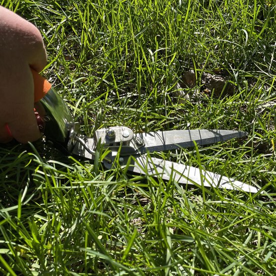 Ножницы для живой изгороди и травы прямые Truper с обрезиненными рукоятками (18452)