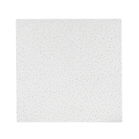 Набор потолочных плит Инженер-Строитель 10 мм 600x600 мм цвет белый 14 шт. (5.04 м²)