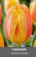 Тюльпан Триумф Гудошник луковицы 10/11