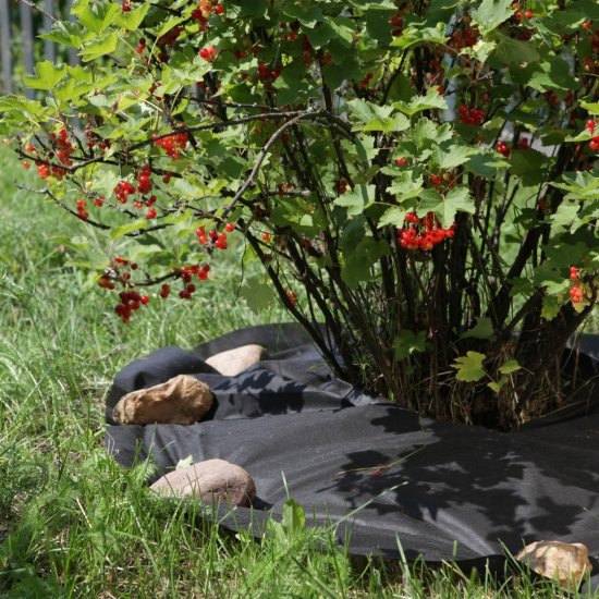 Приствольный материал BEGINIA 60 г/м² ø100 см черный полипропилен