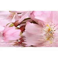Декоративный массив Belleza Букет