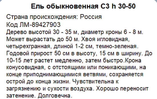 Ель обыкновенная ø20 h40 см