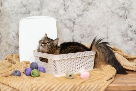 Корзина для хранения Плес 11л прямоугольная цвет белый