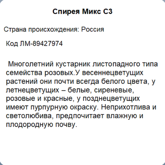 Спирея микс ø20 h45 см