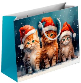 Подарочный пакет Новогодние шапочки 21x30x14 см разноцветный