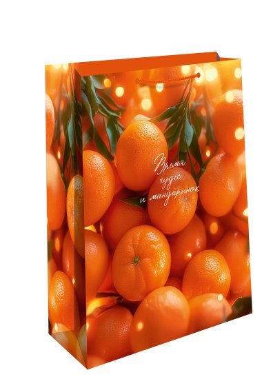 Подарочный пакет Арт и дизайн 24x18 см в ассортименте