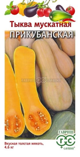 Семена овощей тыква мускатная Прикубанская