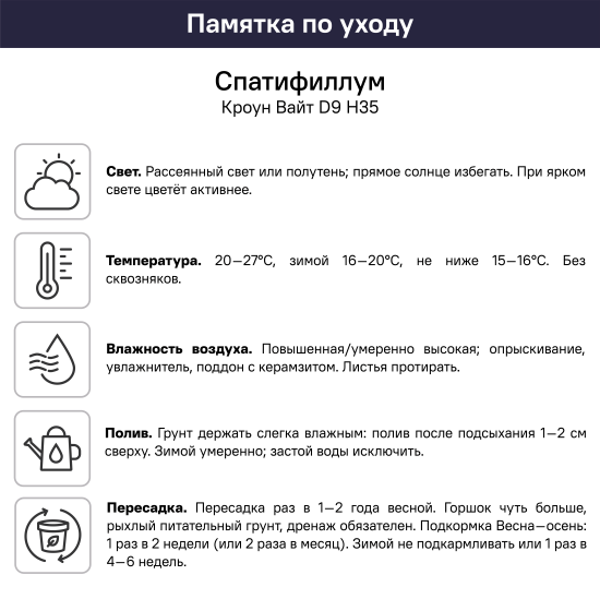 Спатифиллум Кроун Вайт ø9 h35 см