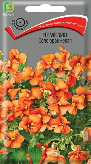 Семена цветов немезия Соло оранжевая