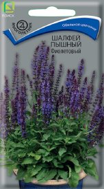 Семена цветов шалфей пышный фиолетовый