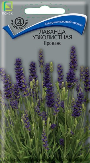 Семена цветов лаванда узколистная Прованс