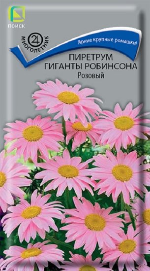 Семена цветов пиретрум Гиганты Робинсона розовый