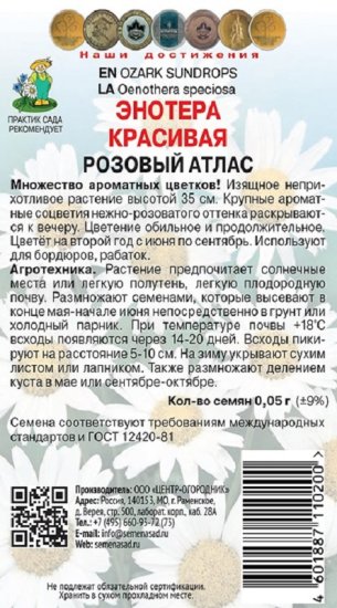 Семена цветов энотера красивая Розовый атлас