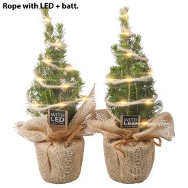 Ель 25332 ø9 h30 см