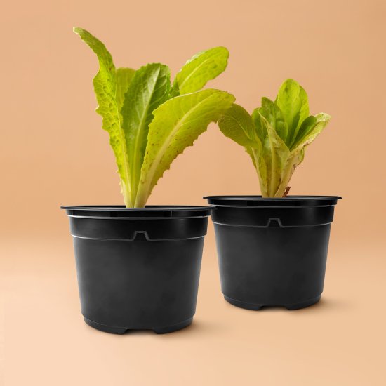 Набор для рассады ГазонCity пластик 1 ячейка