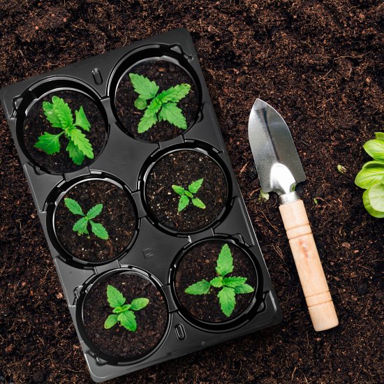 Кассета для рассады ГазонCity пластик 6 ячеек