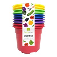 Набор для рассады ГазонCity Color пластик 1 ячейка