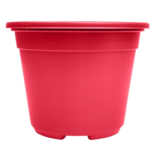 Набор для рассады ГазонCity Color пластик 1 ячейка