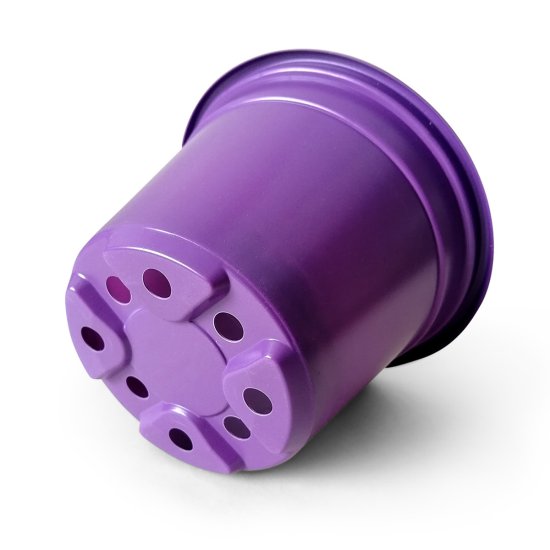 Набор для рассады ГазонCity Color пластик 1 ячейка