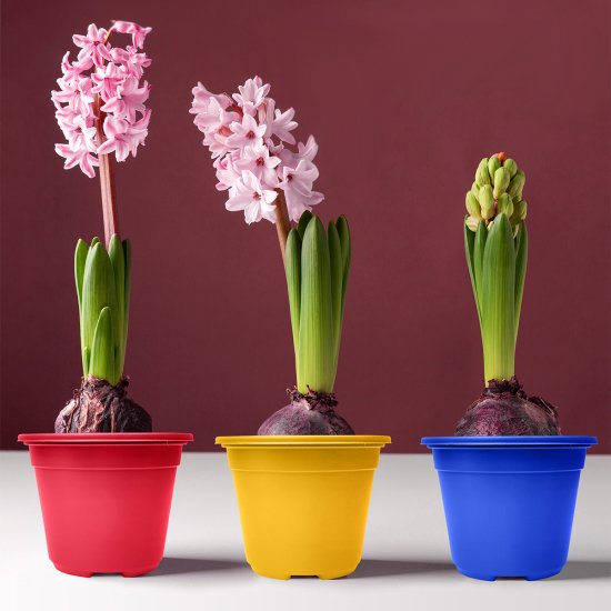 Набор для рассады ГазонCity Color пластик 1 ячейка