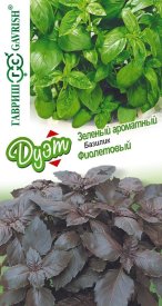 Семена зелени Гавриш базилик Фиолетовый и зеленый ароматный