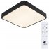 Светильник светодиодный Arte Lamp Scena 2700-6500К 55 Вт 13 кв.м черный IP20 (A2663PL-1BK)