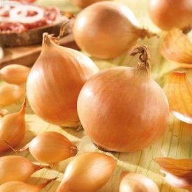 Лук-севок Стурон луковицы 8/21, 320 шт.