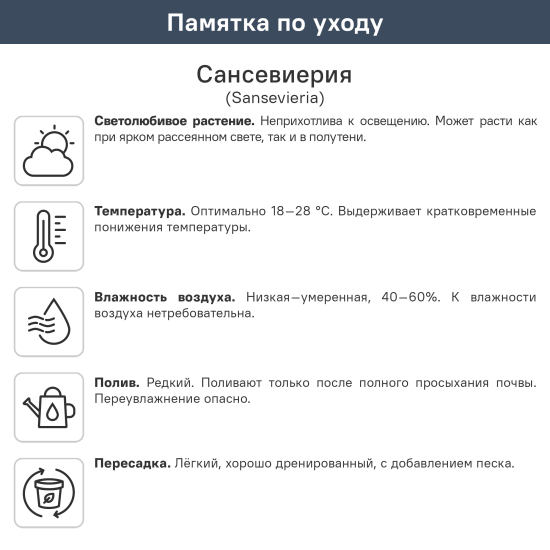Сансевиерия Лауренти ø17 h65 см