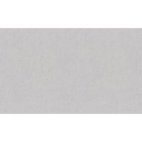 Обои компакт-винил на флизелиновой основе Palitra Family Levia FM72540-14 (1,06х10,05 м)