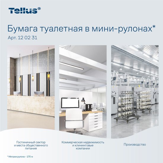 Туалетная бумага Tellus ТР-2 Комфорт в мини-рулонах 170 м (12 шт.) (120231)