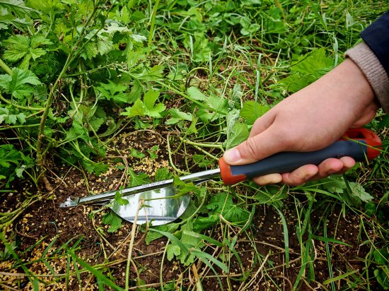 Корнеудалитель ручной BEGINIA сталь 15 см