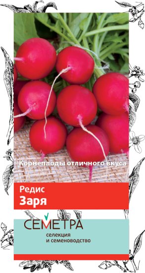 Семена овощей Поиск редис Заря
