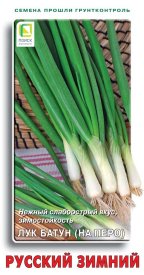 Семена овощей Поиск лук батун Русский зимний