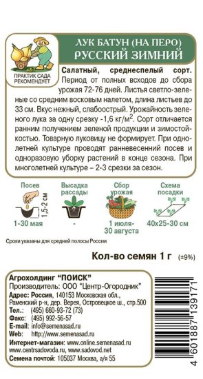 Семена овощей Поиск лук батун Русский зимний