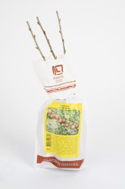 Крыжовник микс h37 см