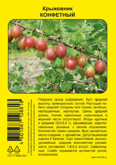 Крыжовник микс h37 см