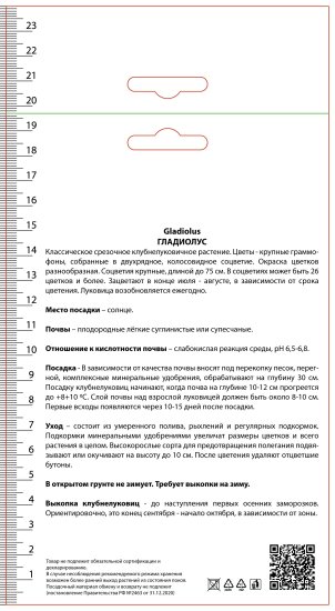 Гладиолус крупноцветковый Эста Бонита, 3 шт