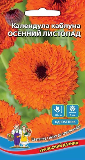 Семена цветов Уральский дачник календула Каблуна Осенний листопад