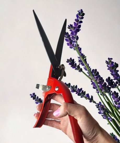 Газонные ножницы 18 мм