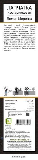 Лапчатка кустарниковая Лемон Меренга ø5 h37 см