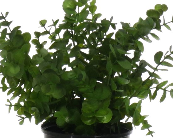 Искусственное растение Эвкалипт ø13 h30 см